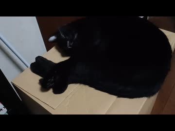 じゅくすいこま
