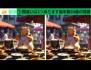 【！脳トレ+育脳に最適☆まちがい探しタイム！ 】＃282