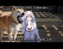 挑発バッテリーOP「ハイボック」