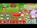 私達の牧場でバザー物語#2【牧場物語 Let's！風のグランドバザール】