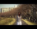backnumber - 花束