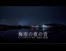 【音散歩】梅雨の夜の音｜カエルの鳴き声｜雨音｜田舎の音
