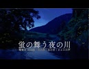 【音散歩】蛍の舞う夜の川｜環境音/ASMR｜川の音｜虫の音｜カエルの声