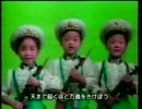 【北朝鮮】われらの大将万歳