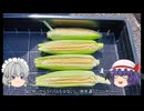 ゆっくり農民267トウモロコシを育ててみませんか？＃22