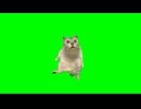 デデドン！.mur