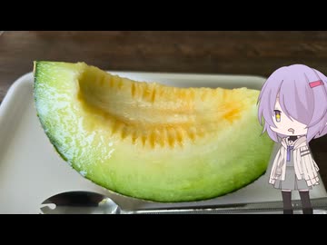 愛知県田原市の夏が旬の美味しいメロンを販売しているお店【ゆかりさんの日常】