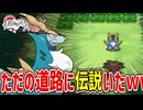 失ったポケモンは二度と戻らない。【BW2】#38