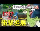 失ったポケモンは二度と戻らない。【BW2】#40