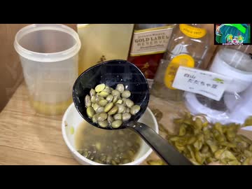 鋭意編集中【だだちゃ豆、腹一杯食べてみた】100%ハイボール