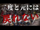 20250831_【なぜ？大量外国人労働者の受け入れがいらないのか論破！】移民政策は形を変えた○争