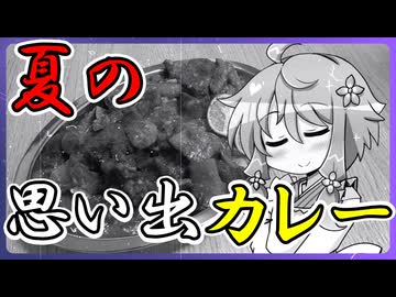 夏の思い出カレー【※総集編ではありません】