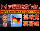 20250903_【ドイツの愛国政党『A○D』州議会議員の選挙候補者6名（のちに7名）全員突然死】コレ、某政党が日本で政権取れそうになったら、こうなる可能性は絶大なり！⇦もうこれは○争と言う認識じゃないとだめだ！
