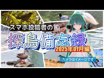 【野鳥】スマホ投稿者の探鳥備忘録 2025年1月編【ソフトウェアトーク旅行】