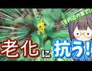 その辺の草のお茶で老化細胞とお別れ！元気にイキイキ暮らしたい！【キンミズヒキ】
