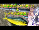 【遠征釣行】三保海岸 de ペンペン祭り！【アイツが釣れるかも】　さとうささらとNo.7の【サーフアングラーささらちゃん】シリーズ＃5
