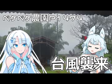 2025年9月5日　農作業日誌P1474　台風直撃なので農作業は出来ずに木工作業をやってるよ