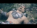 zafi