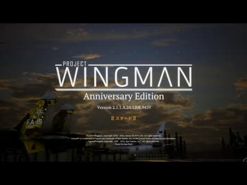 ゆっくり実況でProject WINGMAN 本編　最高難易度　16