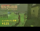 【ブレワイ】にっくきヒツジ泥棒 ゼルダの伝説ブレスオブザワイルド　#125 #ゼルダの伝説ブレスオブザワイルド #ブレワイ