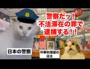 【中華料理店】中国人ブローカーが不法滞在を斡旋！？ここ10年ほどで急速に拡大している激安中華料理店の実態 #猫マニ #猫ミーム