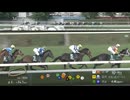 2025 札幌2歳ステークス (GⅢ)　ショウナンガルフ
