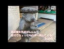 再就職を先延ばしにして原付でちょっくら日本一周してくる【26日目】