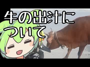 【第三回ニコニコラーメン祭参加作品】牛の出汁について考える【ずんだもんワールドクッキング】