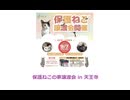 保護ねこの家譲渡会 in 天王寺