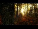 George Winston - Colors／Dance (Music Video)