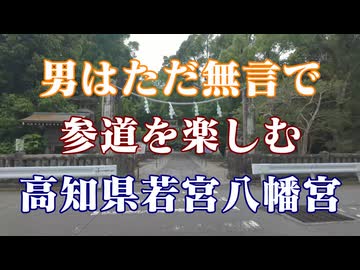 高知県　参道を楽しむ！　若宮八幡宮！