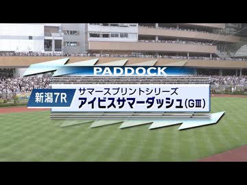 【競馬】グリーンチャンネルパドックBGM　多分フルコンプ【作業用BGM】