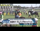 【ウマ娘風】第70回京成杯オータムハンデキャップGⅢ(2025)【ホウオウラスカーズ】【木幡巧也】
