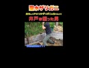 聖水でザリガニを育てようと思った男