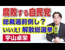 宇山卓栄★腐敗する自民党の実態。総裁選前倒し・石破おろし・そして秋の解散総選挙（内閣不信任案）はあるのか？