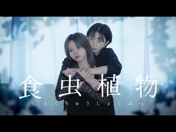 【 透子 × ゆら 】食虫植物 踊ってみた