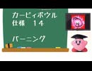 カービィボウル仕様１４：バーニング