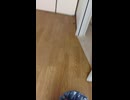 奈良モグラです、復活致します！！