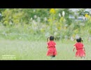 sell-69(movie) / BGM