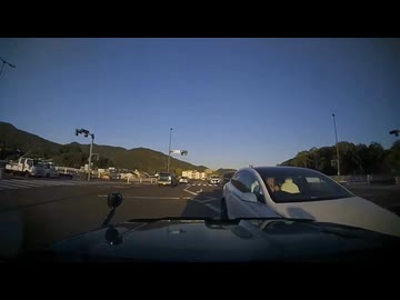 お嬢様と見る日本の交通事故集8