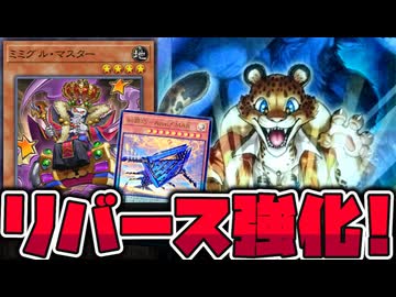 【遊戯王】 普通に優秀！こういうのでいいんだよ！  『トレジャー・パンサー』 【ゆっくり解説】