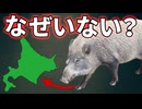 北海道にイノシシがいない理由がこちら【解説動画】