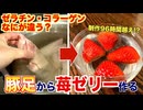 豚足からゼラチン100%作るの地獄だった