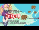 知床岬でチキンラーメンアレンジを作る動画
