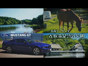 【アメ車】マスタングで馬に出会いに。古牧温泉渋沢公園【青森県】