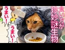猫型珍妙生物、驚きのごはんシーン