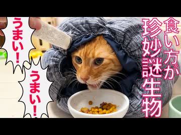 猫型珍妙生物、驚きのごはんシーン