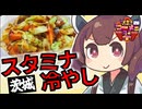 【第三回ニコニコラーメン祭】茨城のソウルフード「スタミナ冷やし」を食べるぞ！【ひたちなか市 大進】