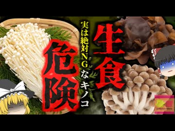 『実は絶対に生で食べてはいけない』一般的なあのキノコも加熱不十分だと様々なリスクが…死亡例は少ないがアレルギーや食中毒、最悪脳炎などのリスクも【ゆっくり解説】