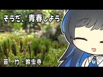 【双葉湊音】そうだ、青春しよう【苔・竹・鈴虫寺】